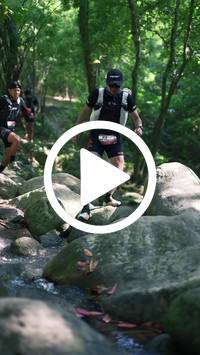 BIB:  <button type="button" onclick="openModal(28052498)" class="btn btn-primary btn-sm float-right" data-toggle="modal" data-target=".modal-high-quality">
                <i class="fa fa-download"></i> Download
                </button>